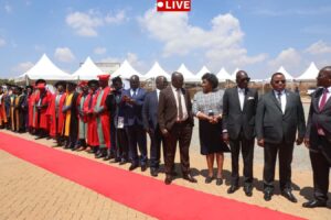IN PICTURES: Zimbabwe Open University Graduation