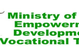 Zimbabwe, Zambia race to host 2027 YouthConnekt Africa Summit