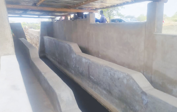New dip tank brings relief to Matobo livestock farmers