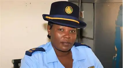 Nkulumane cardboard box disguise lands suspected burglar in police custody
