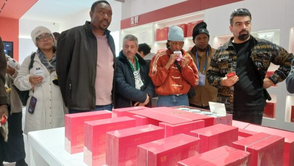 Ningxia offers Zimbabwe a blueprint for productive Special Economic Zones