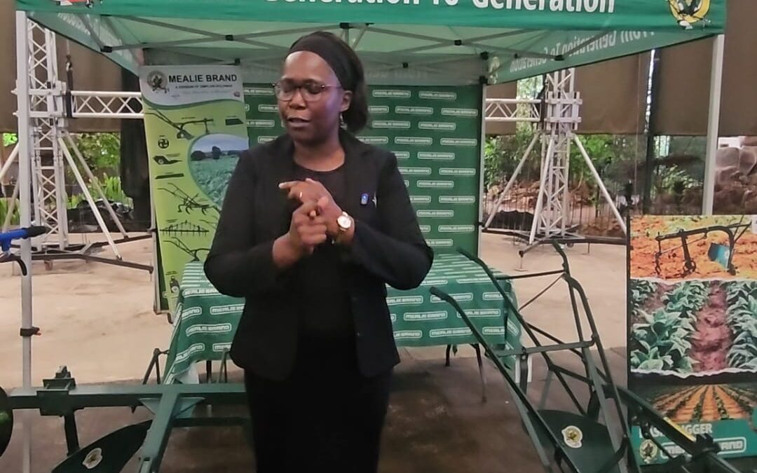 From rippers to threshers: Zimplow’s blueprint for a drought-resilient Zimbabwe