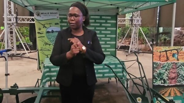 From rippers to threshers: Zimplow’s blueprint for a drought-resilient Zimbabwe