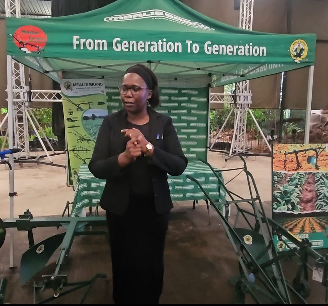 From rippers to threshers: Zimplow’s blueprint for a drought-resilient Zimbabwe