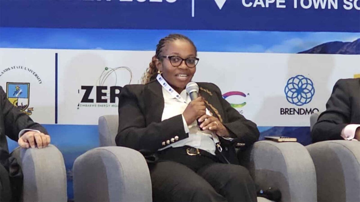 CEO Africa Roundtable: Panellists say Africa has capital but lacks the instruments to deploy It