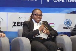 CEO Africa Roundtable: Panellists say Africa has capital but lacks the instruments to deploy It