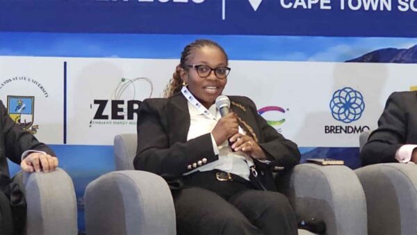CEO Africa Roundtable: Panellists say Africa has capital but lacks the instruments to deploy It
