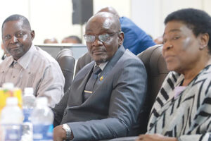 Culture must become economic powerhouse — VICE-PRESIDENT Kembo Mohadi