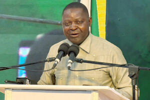Ezemidlalo kazibe libhizimusi: Sanyatwe