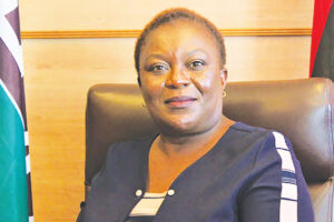 Matabeleland provinces emerge as veld fire hotspots