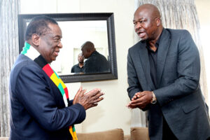 President Mnangagwa calls for solidarity in times of grief