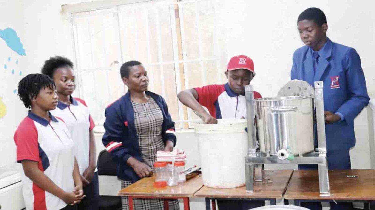 Hillbright College runs honey plants, targets 40 000 avocado trees under Education 5.0