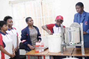 Hillbright College runs honey plants, targets 40 000 avocado trees under Education 5.0