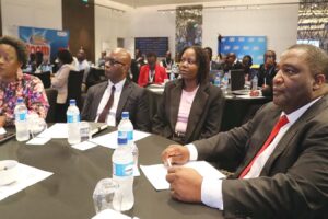Reforms, forex surge, drive macro-stability — BMI