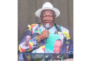 Zanu PF recruits 63 000 new members this year
