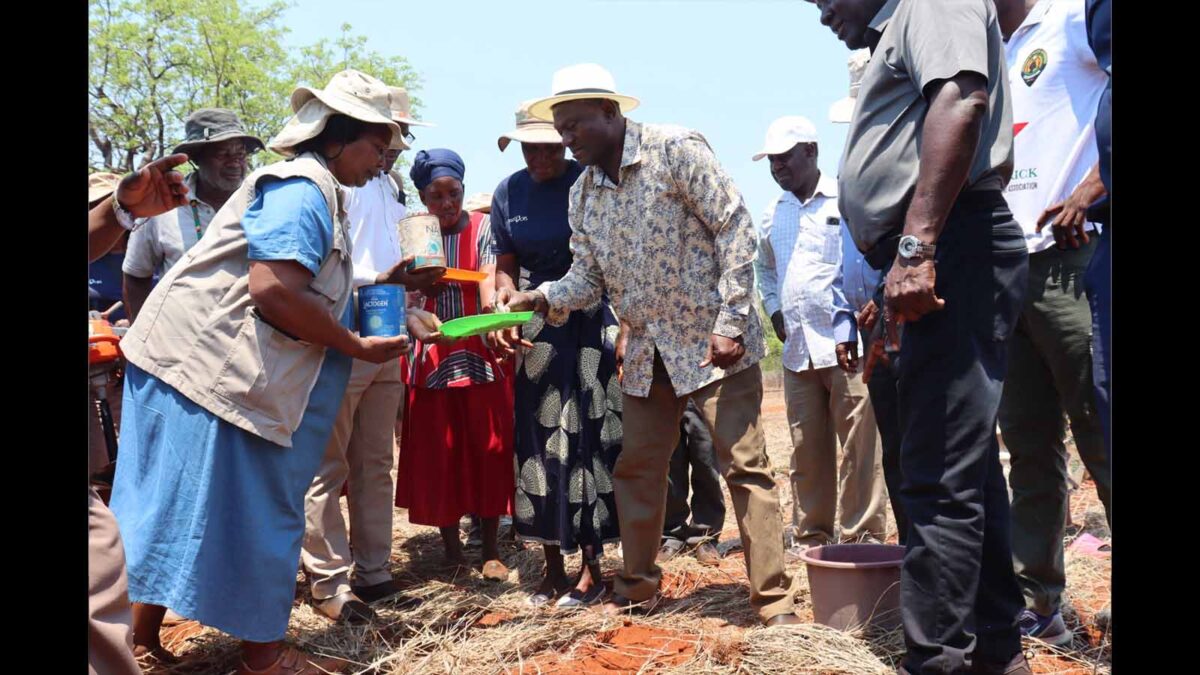 Mat South targets 190 000 households as Nguluvhe launches Intwasa season