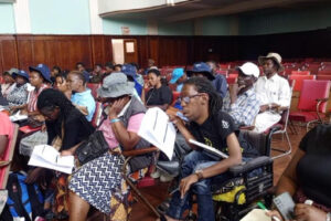 Gender-responsive, disability-inclusive budgets key to smart city development