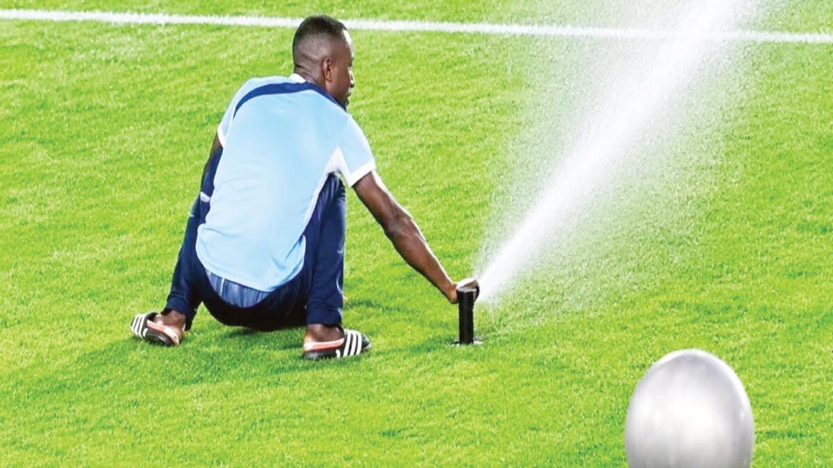 NAIL THE CULPRITS, SAYS ROMARIO
