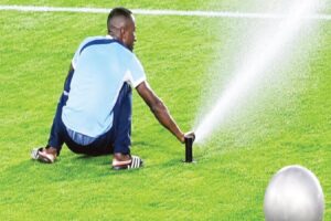 NAIL THE CULPRITS, SAYS ROMARIO
