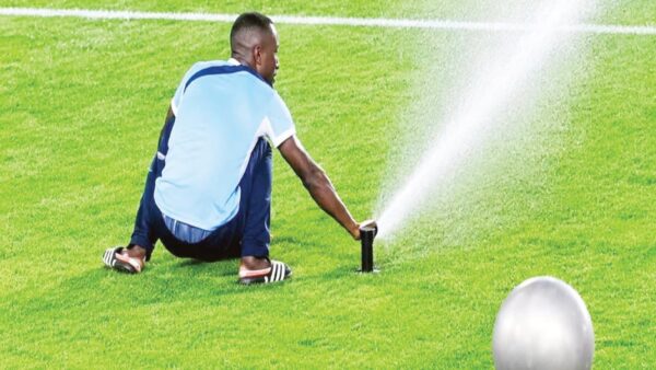 NAIL THE CULPRITS, SAYS ROMARIO