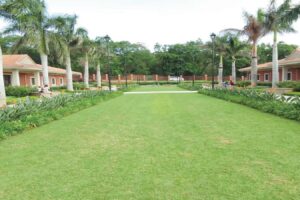 Finding the perfect  grass for your garden