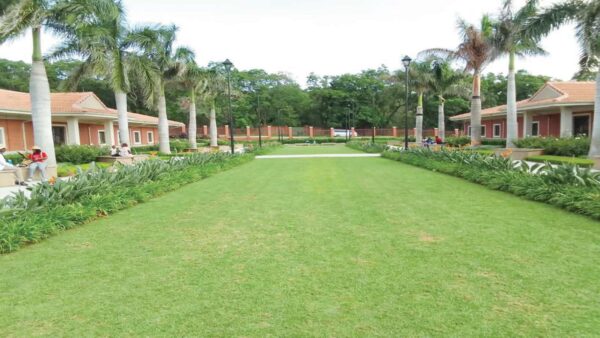 Finding the perfect  grass for your garden