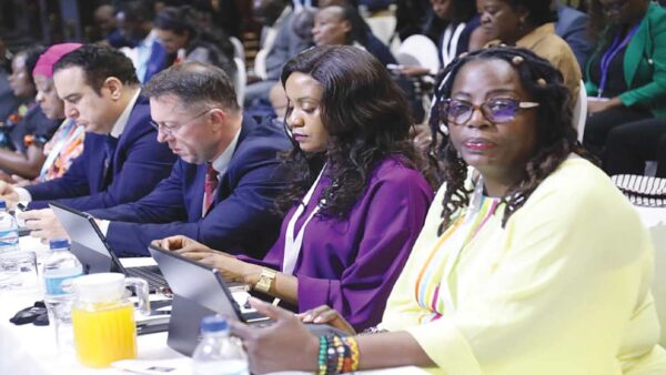 One market, one future, one Zimbabwe story: Branding a nation through COMESA