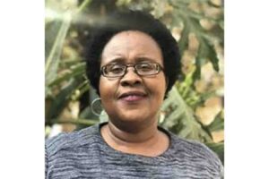 Digital tools offer new opportunities for Zimbabwe’s agricultural extension services