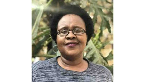 Digital tools offer new opportunities for Zimbabwe’s agricultural extension services