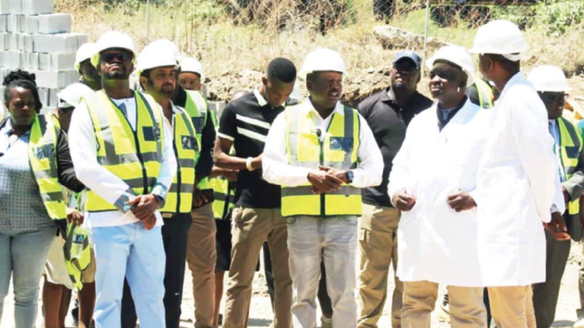 Byo’s revival gets fresh investment boost