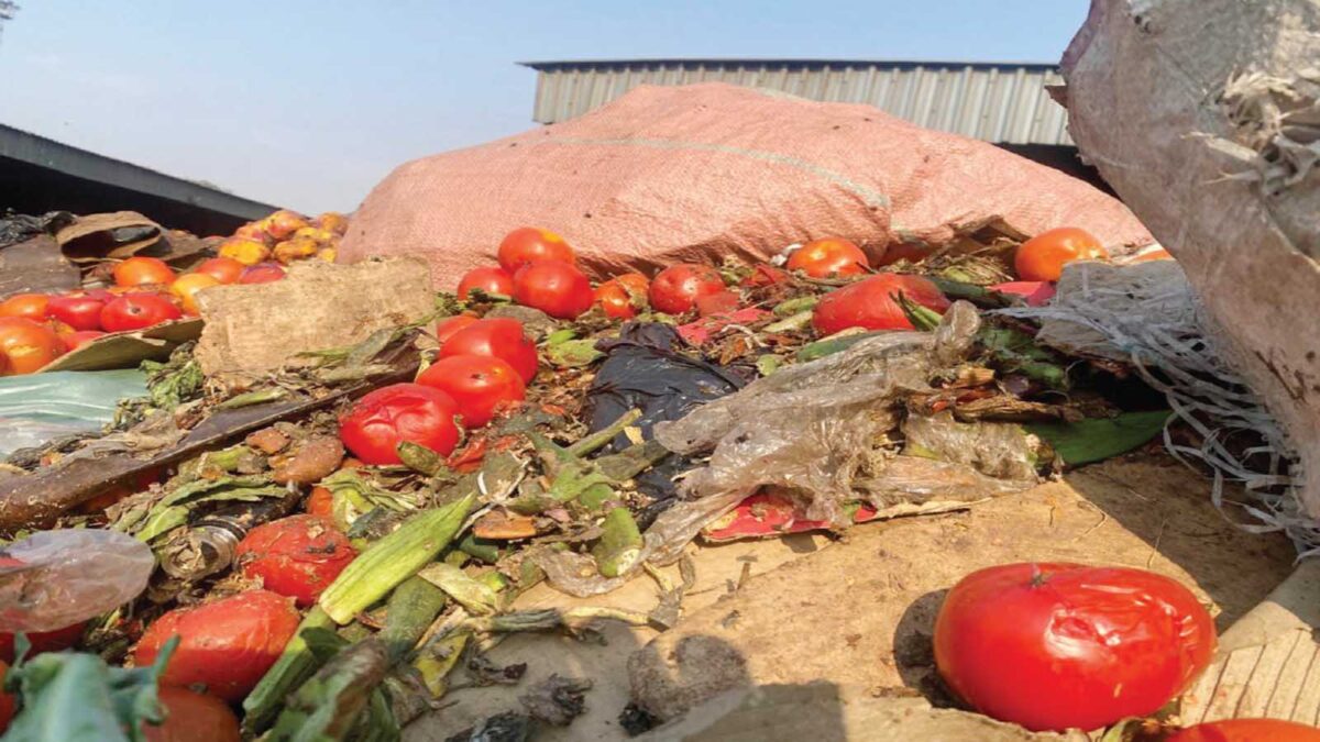 Experts call for sustainable  food preservation methods