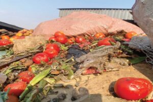 Experts call for sustainable  food preservation methods