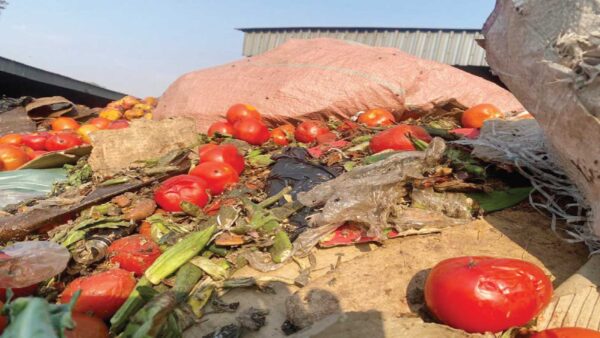 Experts call for sustainable  food preservation methods