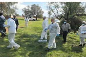 ZIM MAN, THREE WOMEN NABBED IN SA AFTER POLICE RAID AT DRUG LAB