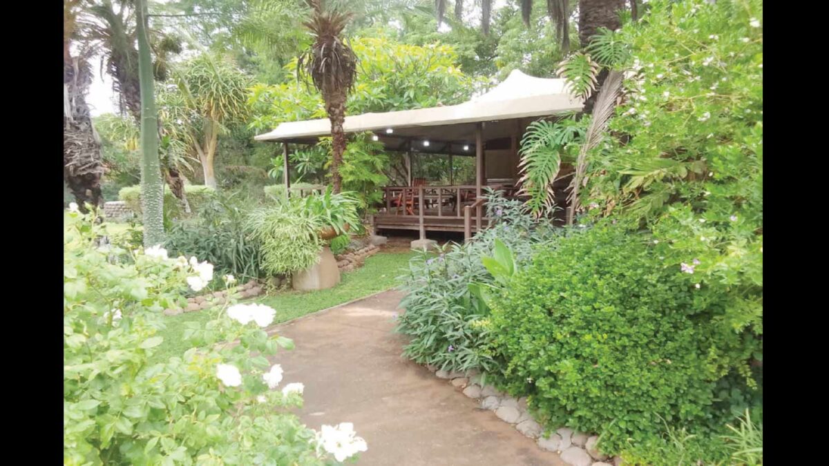 Sustainability is redefining modern gardening