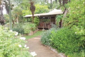 Sustainability is redefining modern gardening