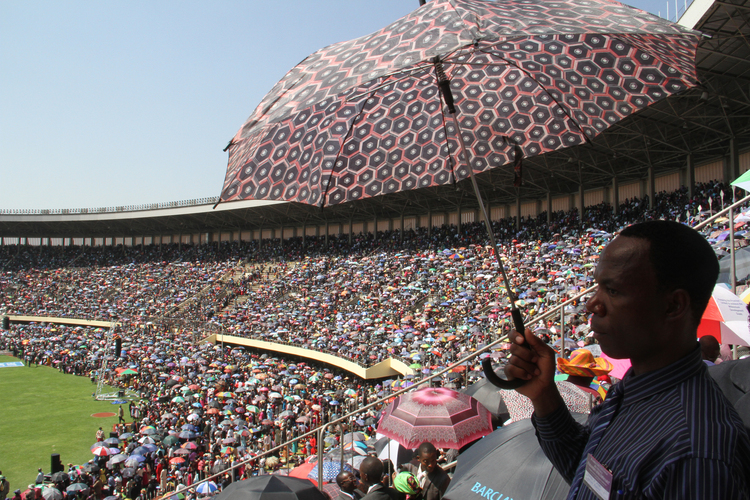 Zim: A meeting place for the world