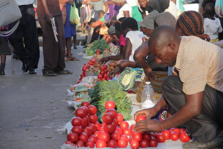 Daily taxes for informal sector launched