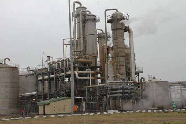 CHISUMBANJE PLANT