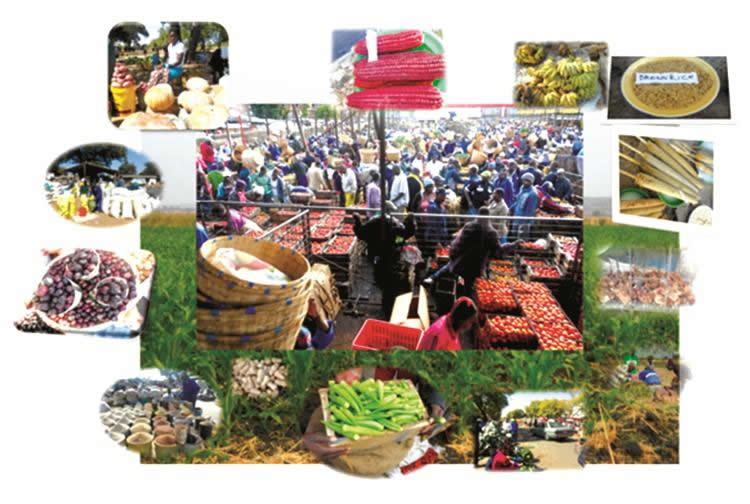 Graphic: Unless a farmer wants to remain at subsistence level, they should not grow what does not have a market