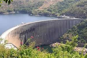40 bid for Zesa
