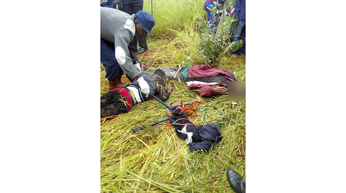 Two suspected cable thieves electrocuted
