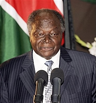 Kibaki ignites ivory stockpile