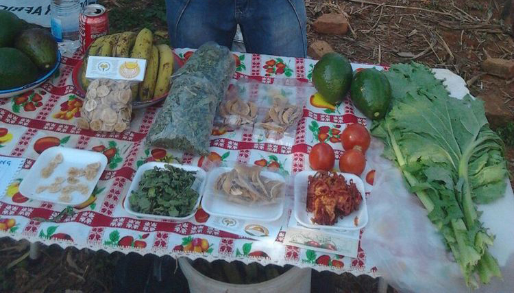 Mutasa youths embrace fruit, vegetable sun-drying project