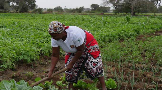 Zim moves to empower women to tackle climate change