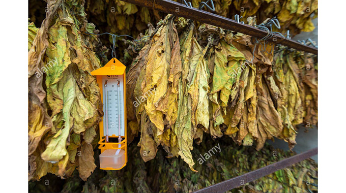 TIMB and farmers have expressed their readiness for the upcoming marketing season