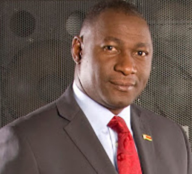 Minister Mandiwanzira