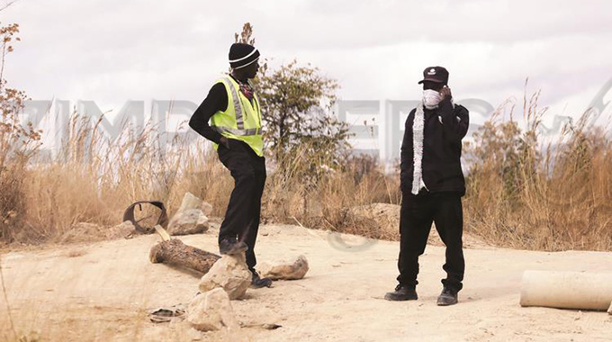 ‘Guards’ erect illegal bush tollgate