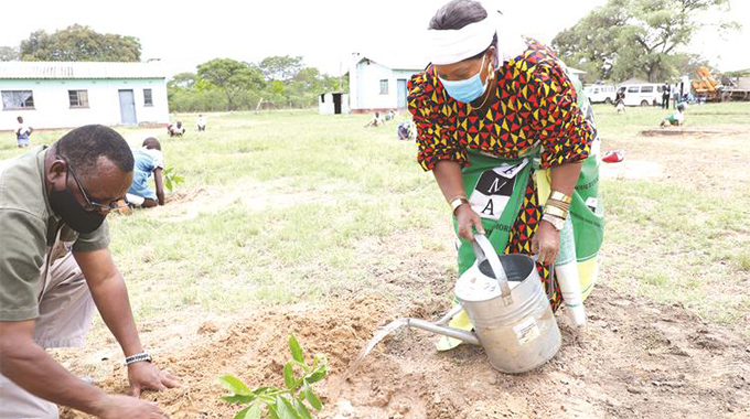 Communities back tree-planting