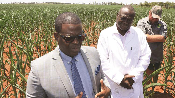 Govt pledges improved power supplies for agriculture